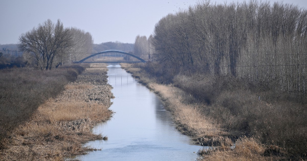 Marad-e víz a Tiszában, avagy kiszárad a folyó medre örökre? Szakértő válaszol Marad-e víz a Tiszában, avagy kiszárad a folyó medre örökre? Szakértő válaszol