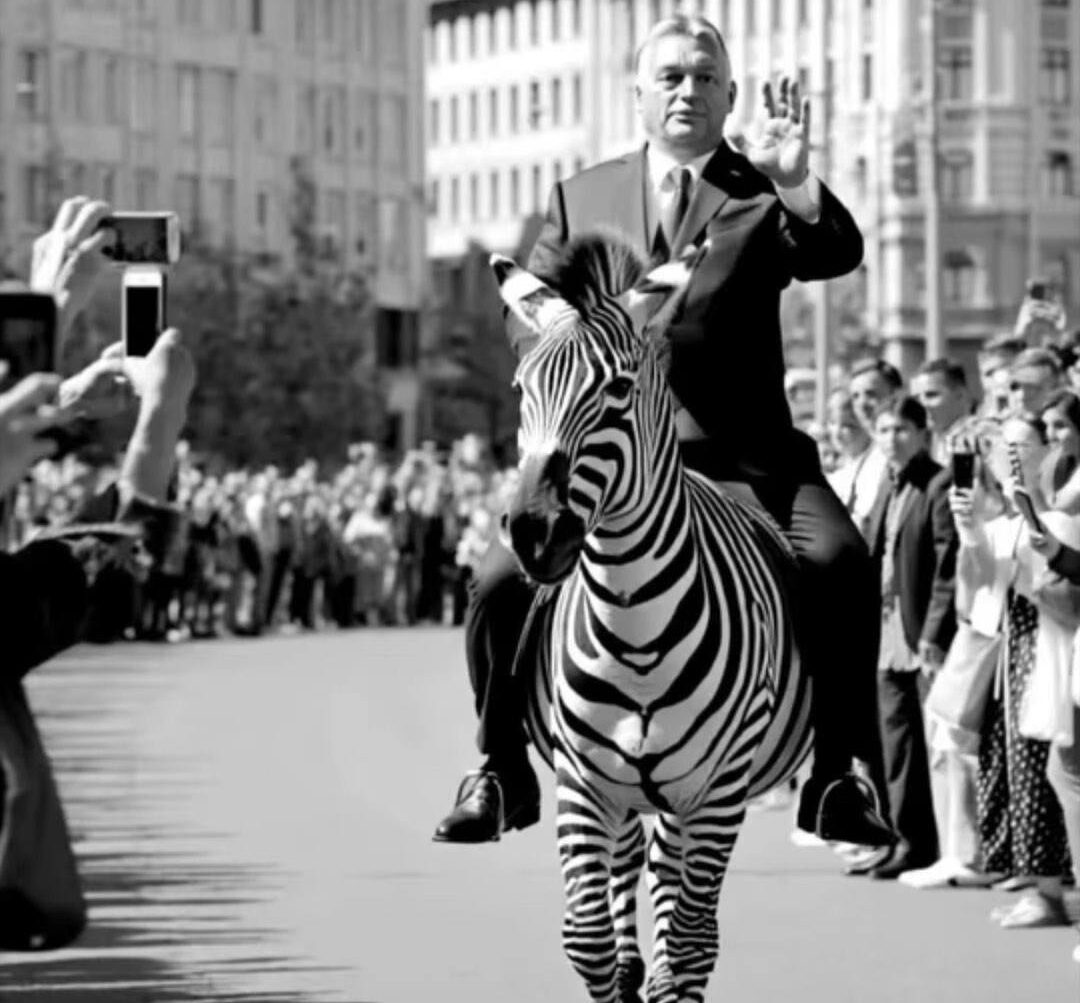 Orbán Viktor bejelentette a zebra-hadműveletet Orbán Viktor bejelentette a zebra-hadműveletet